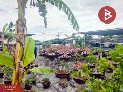 ขายที่ดิน เนื้อที่ 1 งาน บางปะกง ฉะเชิงเทรา-202507031114461751516086232.jpg
