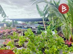 ขายที่ดิน เนื้อที่ 1 งาน บางปะกง ฉะเชิงเทรา-202507031114461751516086808.jpg