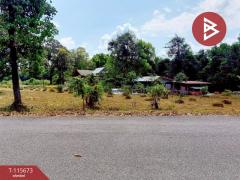 ขายที่ดิน เนื้อที่ 4 ไร่ 3 งาน 92.5 ตร.วา ตะกั่วป่า พังงา-202507031232321751520752571.jpg