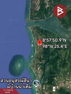 ขายที่ดิน เนื้อที่ 4 ไร่ 3 งาน 92.5 ตร.วา ตะกั่วป่า พังงา-202507031232331751520753114.jpg