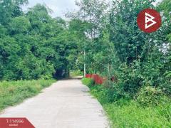  ขายที่ดิน เนื้อที่ 1 ไร่ 3 งาน 66.5 ตร.วา ต.หลุมเข้า อ.หนองขาหย่าง จ.อุทัยธานี ทำเลดี ราคาถูก-202507031244511751521491868.jpg