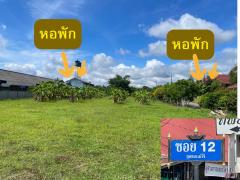 ขายที่ดิน 2 ไร่ 3 ตรว. ย่านชุมชนแม่โจ้ อ.สันทราย จ.เชียงใหม่