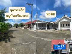 ขายที่ดิน 2 ไร่ 3 ตรว. ย่านชุมชนแม่โจ้ อ.สันทราย จ.เชียงใหม่-202507031252381751521958968.jpg