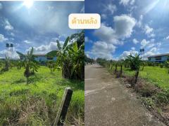 ขายที่ดิน 2 ไร่ 3 ตรว. ย่านชุมชนแม่โจ้ อ.สันทราย จ.เชียงใหม่-202507031252401751521960375.jpg