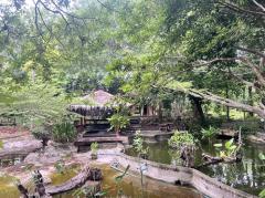 ขาย บ้านสวน 4 ไร่ 2 งาน ตำบลซับจำปา อำเภอท่าหลวง จังหวัดลพบุรี-202507031257311751522251287.jpg