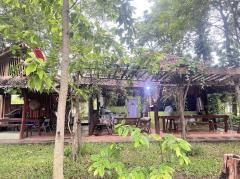 ขาย บ้านสวน 4 ไร่ 2 งาน ตำบลซับจำปา อำเภอท่าหลวง จังหวัดลพบุรี-202507031257431751522263176.jpg