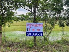 ขายที่ดิน ปราจีนบุรี ประจันตคาม  ราคาถูก -202507031315441751523344618.jpg
