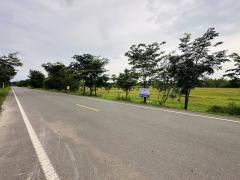 ขายที่ดิน ปราจีนบุรี ประจันตคาม  ราคาถูก -202507031315461751523346796.jpg