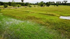 ขายที่ดิน ปราจีนบุรี ประจันตคาม  ราคาถูก -202507031315521751523352353.jpg