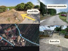ขายสวนลำไย 2 ไร่ 215 ตรว. ต.ทุ่งปี้ อ.แม่วาง จ.เชียงใหม่-202507031317361751523456776.jpg