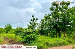 DD-954709 ที่ดินศาลาลำดวน 3 ไร่ 69.5 ตร.ว. สระแก้ว ใกล้โรงเรียนบ้านท่าช้าง-202507031348351751525315921.jpg