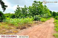 DD-954709 ที่ดินศาลาลำดวน 3 ไร่ 69.5 ตร.ว. สระแก้ว ใกล้โรงเรียนบ้านท่าช้าง-202507031348381751525318311.jpg