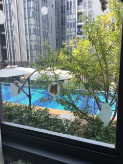 ให้เช่า คอนโด Moniiq Condo สุขุมวิท 64 พื้นที่ 32 ตรม ใกล้ BTS ปุณณวิถี-202507031354531751525693404.jpg