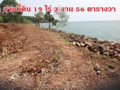 ขายที่ดินสวย ติดทะเล 19 ไร่ 3 งาน 56 ตารางวา-202507031700481751536848708.jpg