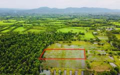 ขายที่ดิน ปราจีนบุรี ประจันตคาม  ราคาถูกมาก -202507031814291751541269812.jpg