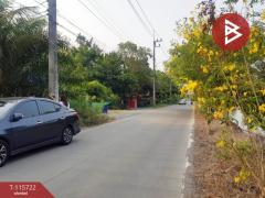 ขายที่ดิน เนื้อที่ 7 ไร่ 2 งาน 98 ตร.วา คลองหลวง ปทุมธานี-202507041037091751600229613.jpg