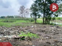 ขายที่ดิน เนื้อที่ 7 ไร่ 2 งาน 98 ตร.วา คลองหลวง ปทุมธานี-202507041037111751600231677.jpg
