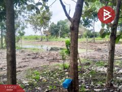 ขายที่ดิน เนื้อที่ 7 ไร่ 2 งาน 98 ตร.วา คลองหลวง ปทุมธานี-202507041037131751600233484.jpg