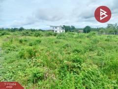 ขายที่ดิน เนื้อที่ 2 งาน 9 ตร.วา ท่าม่วง กาญจนบุรี-202507041428541751614134519.jpg