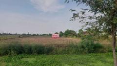 ขายที่ดินเปล่าถมแล้ว 4 ไร่ พร้อมโฉนด ที่ดินสวยบรรยากาศดี ถ.เลียบคลองตับผักชี ลาดหลุมแก้ว ปทุมธานี-202507041435541751614554525.jpg