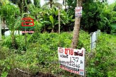 ที่ดินเปล่า ท่านัด-ดำเนินสะดวก เนื้อที่ 137 ตร.ว (ใกล้โรงพยาบาลส่งเสริมสุขภาพตำบลท่านัด) ตำบลท่านัด อำเภอดำเนินสะดวก จังหวัดราชบุรี-202507041457131751615833728.jpg