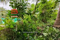 ที่ดินเปล่า ท่านัด-ดำเนินสะดวก เนื้อที่ 137 ตร.ว (ใกล้โรงพยาบาลส่งเสริมสุขภาพตำบลท่านัด) ตำบลท่านัด อำเภอดำเนินสะดวก จังหวัดราชบุรี-202507041457141751615834760.jpg