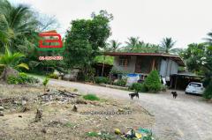 ที่ดินเปล่า ท่านัด-ดำเนินสะดวก เนื้อที่ 137 ตร.ว (ใกล้โรงพยาบาลส่งเสริมสุขภาพตำบลท่านัด) ตำบลท่านัด อำเภอดำเนินสะดวก จังหวัดราชบุรี-202507041457161751615836414.jpg