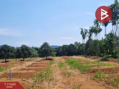 ขายที่ดิน เนื้อที่ 8 ไร่ 2 งาน 65 ตร.วา มะขาม จันทบุรี