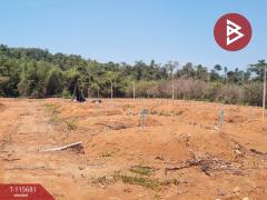 ขายที่ดิน เนื้อที่ 8 ไร่ 2 งาน 65 ตร.วา มะขาม จันทบุรี-202507041502281751616148966.jpg