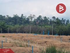 ขายที่ดิน เนื้อที่ 8 ไร่ 2 งาน 65 ตร.วา มะขาม จันทบุรี-202507041502291751616149512.jpg