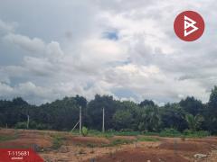 ขายที่ดิน เนื้อที่ 8 ไร่ 2 งาน 65 ตร.วา มะขาม จันทบุรี-202507041502301751616150620.jpg