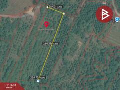 ขายที่ดิน เนื้อที่ 8 ไร่ 2 งาน 65 ตร.วา มะขาม จันทบุรี-202507041502331751616153384.jpg