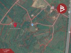 ขายที่ดิน เนื้อที่ 8 ไร่ 2 งาน 65 ตร.วา มะขาม จันทบุรี-202507041502351751616155015.jpg