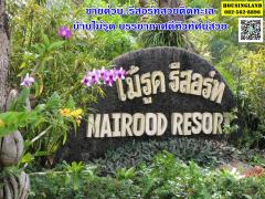 ขายรีสอร์ทสวย พื้นที่ 3 ไร่ ด้วยทิวทัศน์สวยงามของภูเขาและทะเล คลองใหญ่-หาดเล็ก ตำบลบ้านไม้รูด จังหวัดตราด 