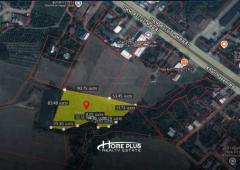 ที่ดินในตำบลวังชมภู อำเภอเมือง จังหวัดเพชรบูรณ์ เนื้อที่ 5 ไร่ 3 งาน 87 ตารางวา-202507041558151751619495569.jpg