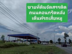 ขายที่ดินเงินผ่อน 100 ตรว. ราคา180,000บาท -202507041613511751620431679.jpg