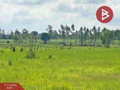 ขายที่ดิน เนื้อที่ 6 ไร่ 1.0 ตร.วา บ้านฝาง ขอนแก่น-202507042135421751639742942.jpg