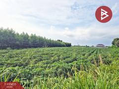 ขายที่ดิน-เนื้อที่-3-ไร่-71.2-ตร.วา-พนัสน