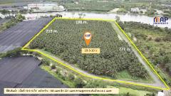 ที่ดินแปลงสวย ริมแม่น้ำท่าจีน 19 ไร่-202507042330051751646605006.jpg