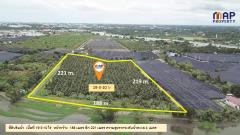 ที่ดินแปลงสวย ริมแม่น้ำท่าจีน 19 ไร่-202507042330061751646606132.jpg