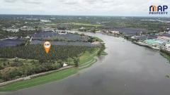 ที่ดินแปลงสวย ริมแม่น้ำท่าจีน 19 ไร่-202507042330101751646610026.jpg