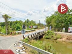 ขายที่ดิน เนื้อที่ 2 ไร่ 1 งาน 4 ตร.วา เขาย้อย เพชรบุรี-202507050612241751670744429.jpg