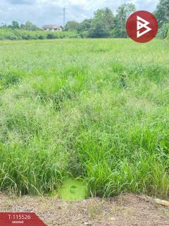 ขายที่ดิน เนื้อที่ 4 ไร่ 92 ตร.วา ท่าโพธิ์ พิษณุโลก-202507050616451751671005353.jpg