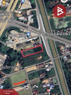 ขายที่ดิน เนื้อที่ 4 ไร่ 92 ตร.วา ท่าโพธิ์ พิษณุโลก-202507050616501751671010156.jpg