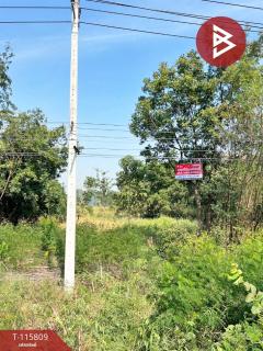 ขายที่ดิน เนื้อที่ 2 งาน 2.4 ตร.วา หนองกรด นครสวรรค์-202507051001141751684474755.jpg