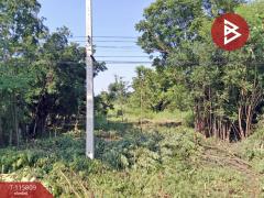 ขายที่ดิน เนื้อที่ 2 งาน 2.4 ตร.วา หนองกรด นครสวรรค์-202507051001151751684475295.jpg