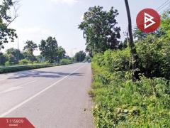 ขายที่ดิน เนื้อที่ 2 งาน 2.4 ตร.วา หนองกรด นครสวรรค์-202507051001151751684475867.jpg
