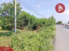 ขายที่ดิน เนื้อที่ 2 งาน 2.4 ตร.วา หนองกรด นครสวรรค์-202507051001161751684476412.jpg