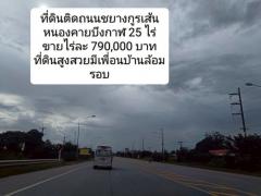 ขายที่ดินติดถนนทางหลวงแผ่นดินเส้นหนองคายบึงกาฬ 25 ไร่