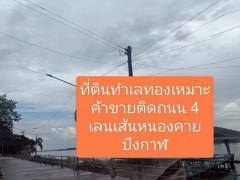 ขายที่ดินติดถนนทางหลวงแผ่นดินเส้นหนองคายบึงกาฬ 25 ไร่-202507051046311751687191634.jpg